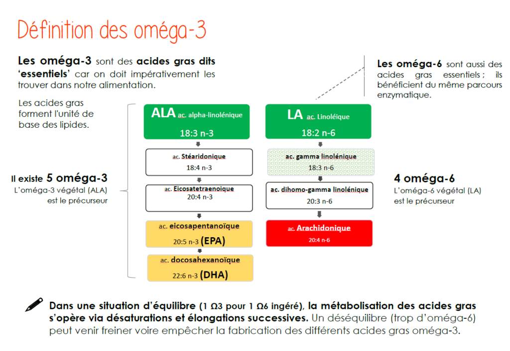 Le role crucial des omega 3 Neorespi